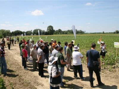 Syngenta Centralni dani polja 2014.