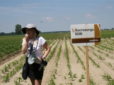 Syngenta Centralni dani polja 2014.