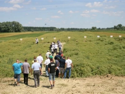 Syngenta Centralni dani polja 2014.