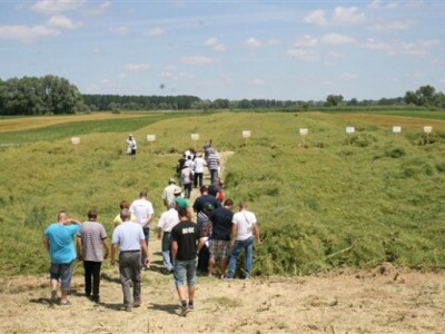 Syngenta Centralni dani polja 2014.