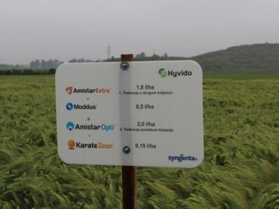 Tretiranje je provedeno Amistar Extra i Amistar Opti fungicidima, Moddus regulatorom rasta te Karate Zeon instekticidom.