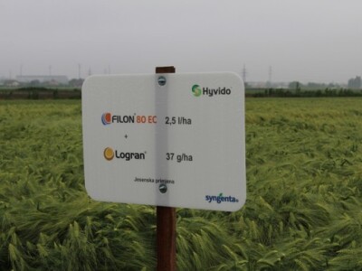 Jesenska primjena - herbicidi Filon 80EC i Logran