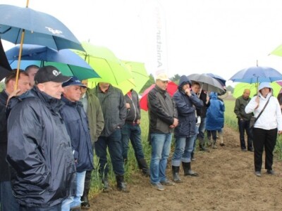Brojni zainteresirani za novu tehnologiju uzgoja ječma!
