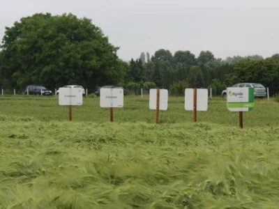 Syngenta HyVido zaradionica!