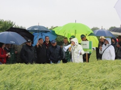 Brojni zainteresirani za novu tehnologiju uzgoja ječma!