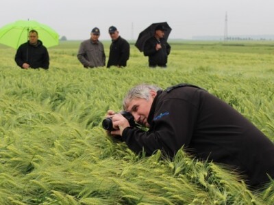 Syngenta HyVido zaradionica!