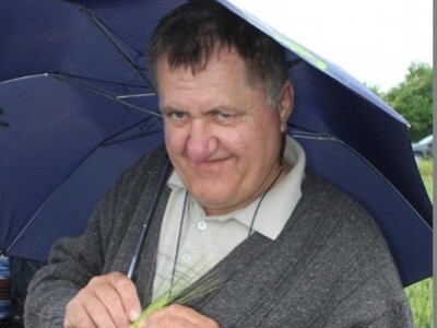 Syngenta HyVido zaradionica!