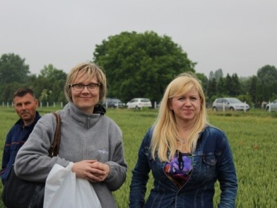 Syngenta HyVido zaradionica!