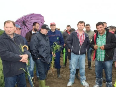 Syngenta HyVido zaradionica!