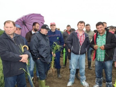 Syngenta HyVido zaradionica!