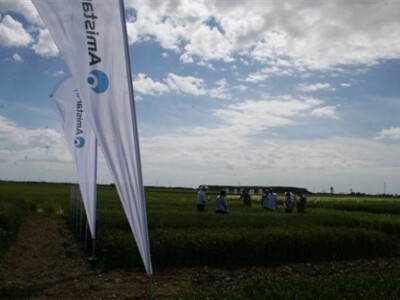 Održana prva radionica u polju - Syngenta