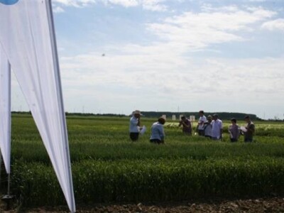 Održana prva radionica u polju - Syngenta