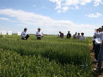 Održana prva radionica u polju - Syngenta