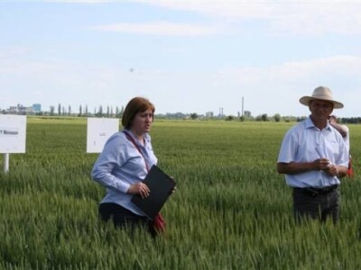 Održana prva radionica u polju - Syngenta