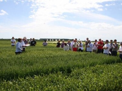 Održana prva radionica u polju - Syngenta