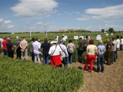 Održana prva radionica u polju - Syngenta