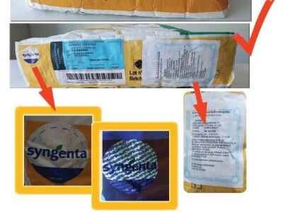 Syngenta: Kako prepoznati original pakovanje seme suncokreta Syngenta: Kako prepoznati original pakovanje seme suncokreta