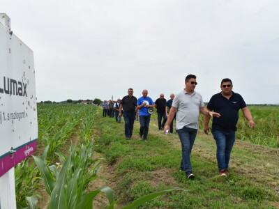 Syngenta lokalni dan polja u Krndiji
