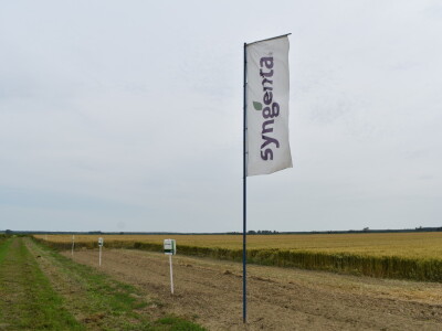 Syngenta lokalni dan polja u Krndiji