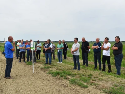 Syngenta lokalni dan polja u Krndiji