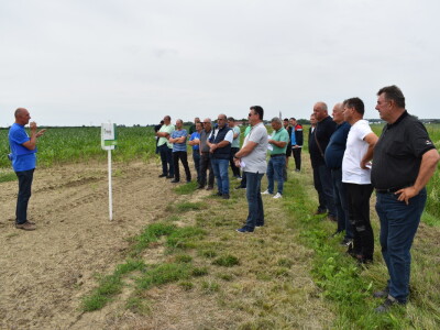 Syngenta lokalni dan polja u Krndiji