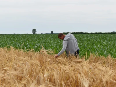 Syngenta lokalni dan polja u Krndiji