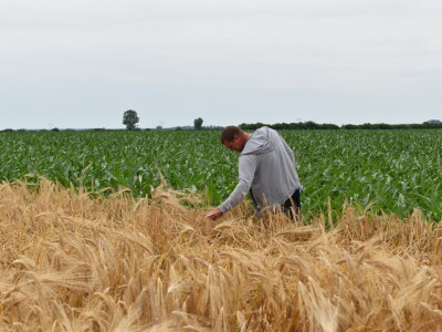 Syngenta lokalni dan polja u Krndiji