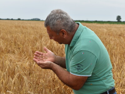 Syngenta lokalni dan polja u Krndiji