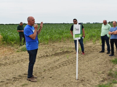 Syngenta lokalni dan polja u Krndiji