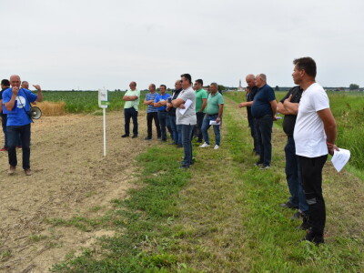 Syngenta lokalni dan polja u Krndiji