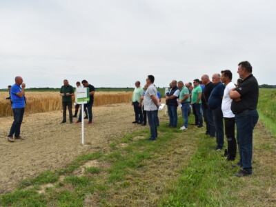 Syngenta lokalni dan polja u Krndiji