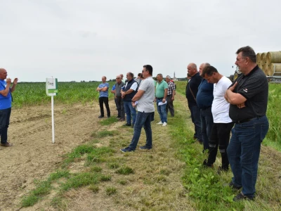Syngenta lokalni dan polja u Krndiji
