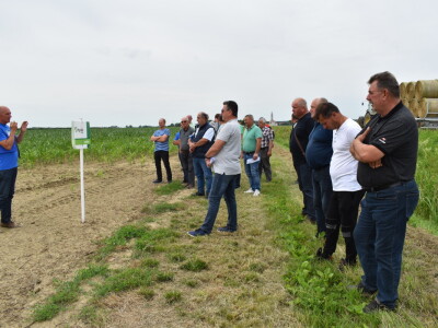 Syngenta lokalni dan polja u Krndiji