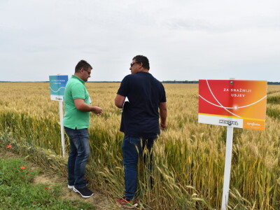 Syngenta lokalni dan polja u Krndiji