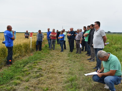 Syngenta lokalni dan polja u Krndiji