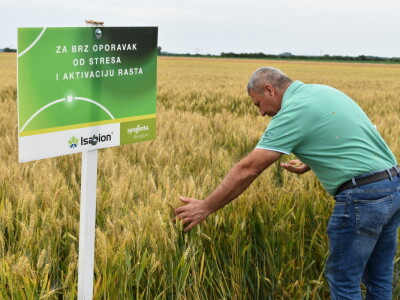 Syngenta lokalni dan polja u Krndiji