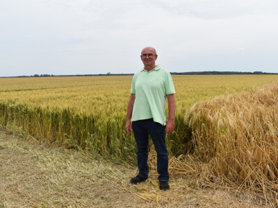 Syngenta lokalni dan polja u Krndiji