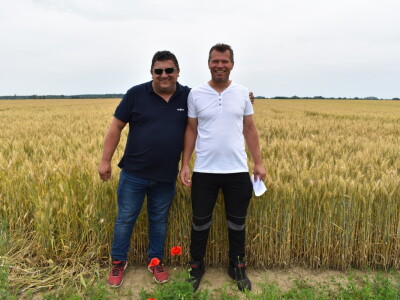 Syngenta lokalni dan polja u Krndiji