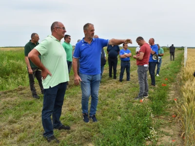 Syngenta lokalni dan polja u Krndiji