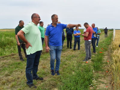 Syngenta lokalni dan polja u Krndiji