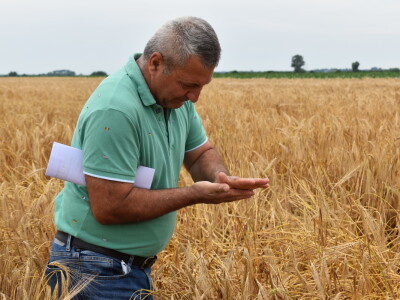 Syngenta lokalni dan polja u Krndiji