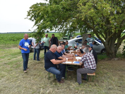 Syngenta lokalni dan polja u Krndiji