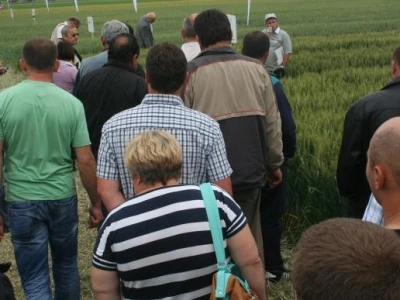 Syngenta obilazak