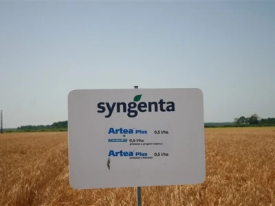 Dani polja Syngenta