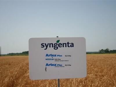 Dani polja Syngenta