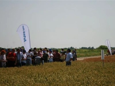 Dani polja Syngenta