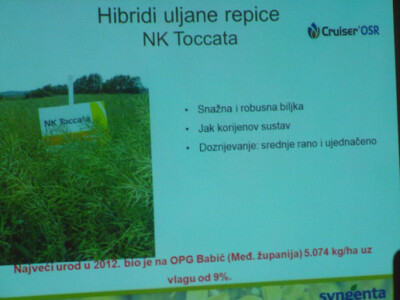 Syngenta Dan polja uljane repice i šećerne repe