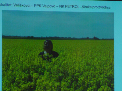 Syngenta Dan polja uljane repice i šećerne repe