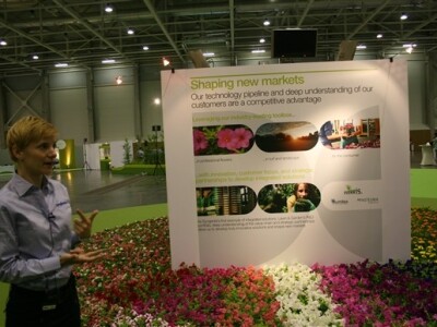 Syngenta demo dani - uzgoj cvijeća