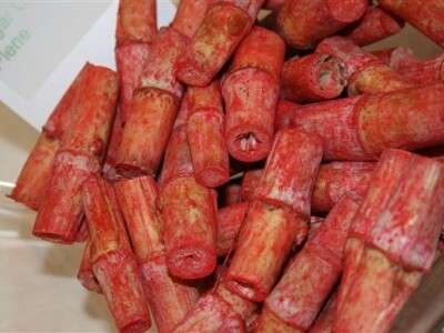 Syngenta demo dani - proizvodnja šećerne trske (PLENE ™)